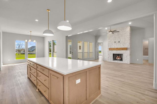 24972 Hopeview Way, Montgomery, TX 77356