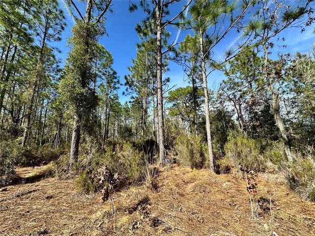 TBD NE 19TH STREET, Williston, FL 32696