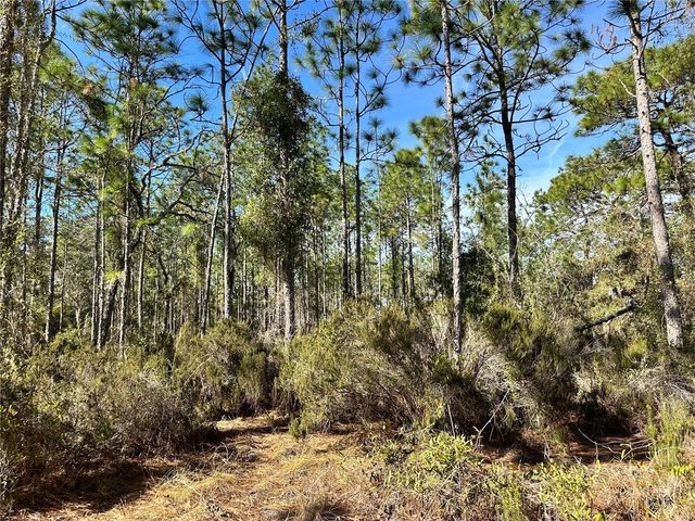 TBD NE 19TH STREET, Williston, FL 32696