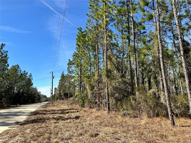 TBD NE 19TH STREET, Williston, FL 32696