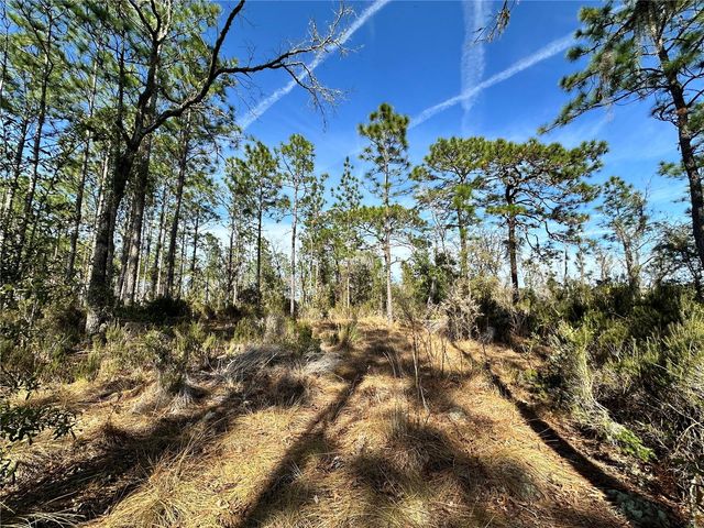 TBD NE 19TH STREET, Williston, FL 32696