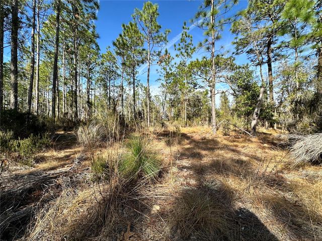 TBD NE 19TH STREET, Williston, FL 32696