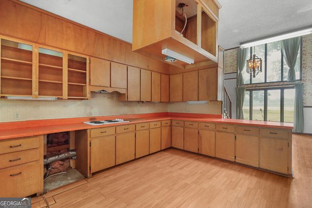 565 Bragg Road, Brooklet, GA 30415