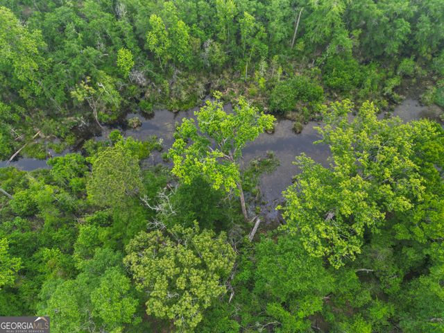 565 Bragg Road, Brooklet, GA 30415