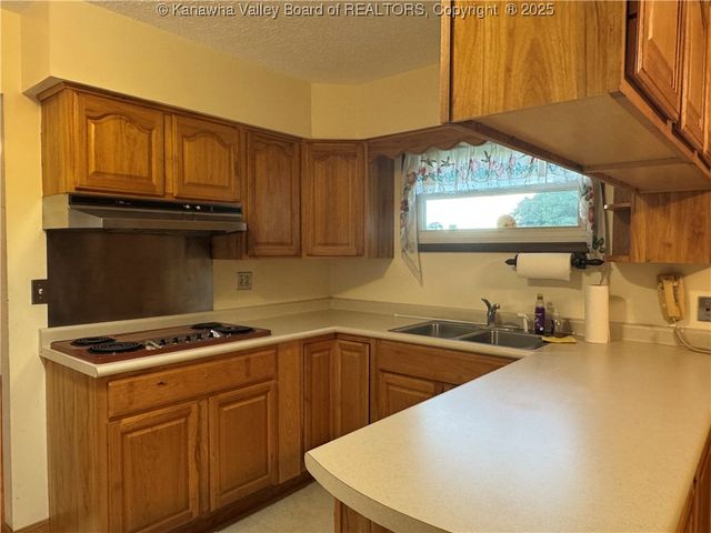 709 McIntosh Avenue, Ravenswood, WV 26164