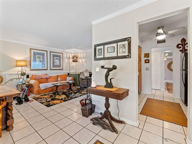 12510 NOREAST LAKE DRIVE, Tampa, FL 33612