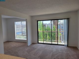 440 N Civic Dr 505, Walnut Creek, CA 94596