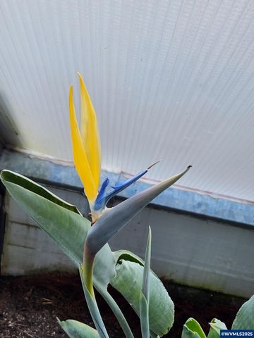 15924 Jackpine Rd, La Pine, OR 97739