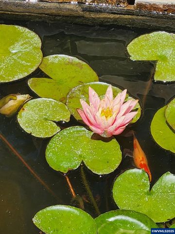 15924 Jackpine Rd, La Pine, OR 97739