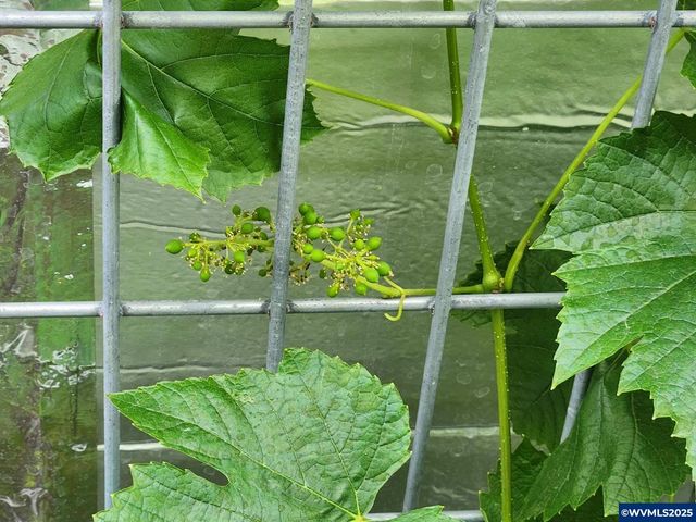 15924 Jackpine Rd, La Pine, OR 97739