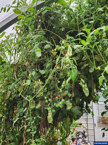 15924 Jackpine Rd, La Pine, OR 97739