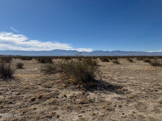 21500 E Avenue P4, Pearblossom, CA 93553