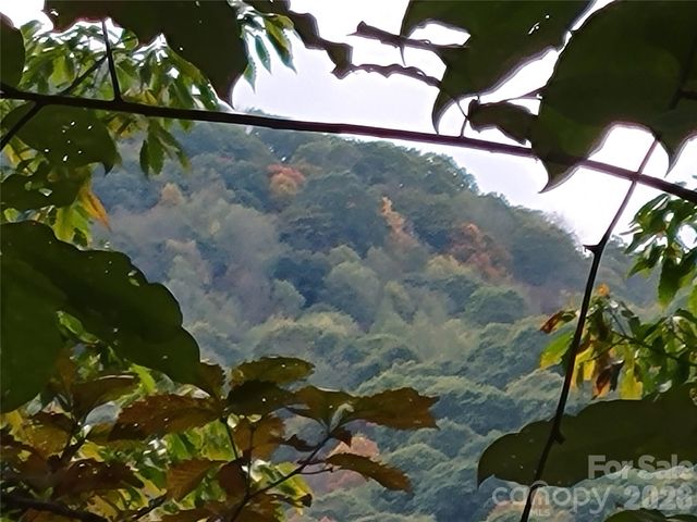 00 Covecrest Lane 15, Maggie Valley, NC 28751