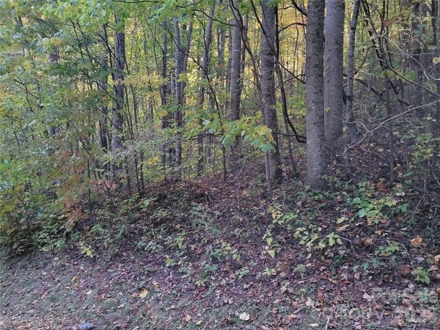 00 Covecrest Lane 15, Maggie Valley, NC 28751