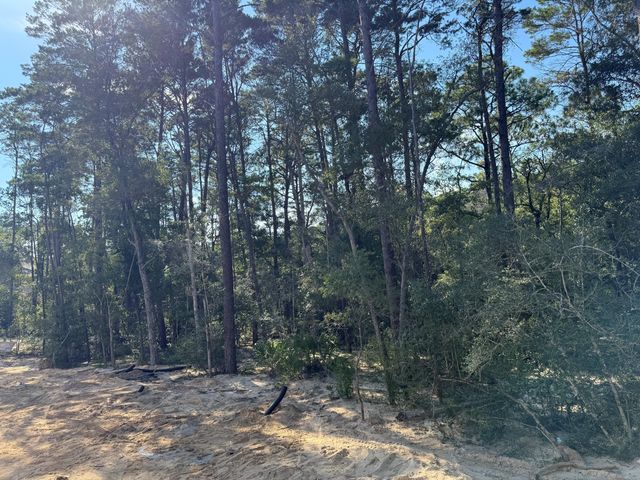 181 Caraway Drive, Niceville, FL 32578