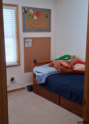 1403 Wright Street, Blair, NE 68008