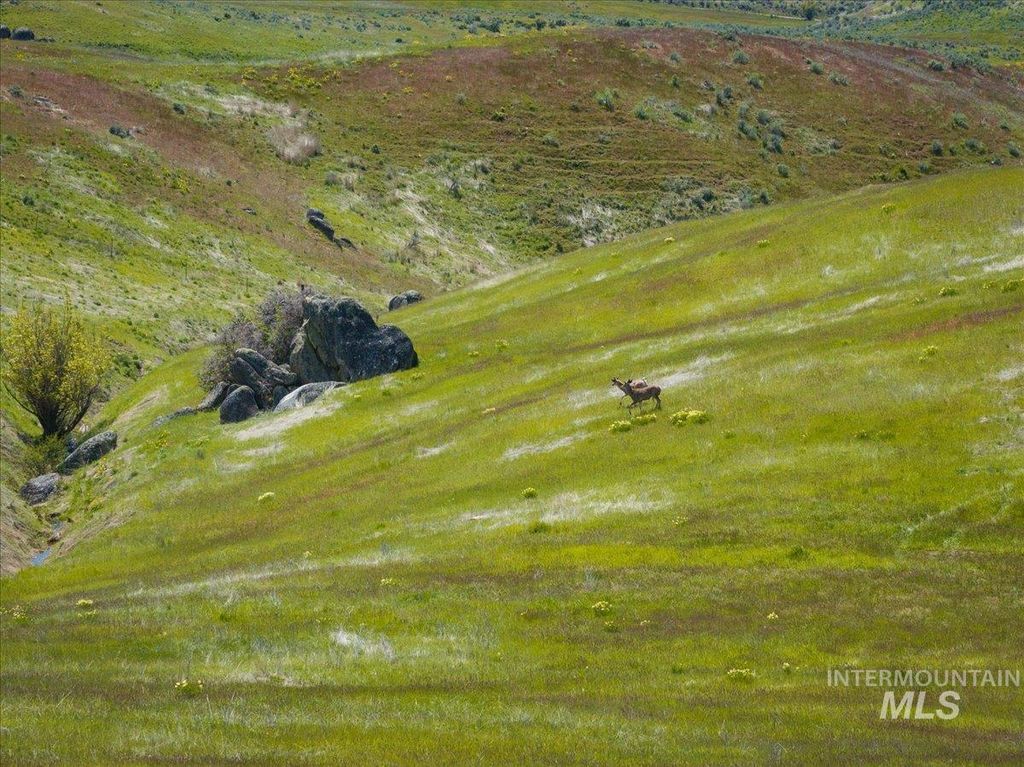 TBD 277 ac Timber Butte Rd, Sweet, ID 83670 photo 32