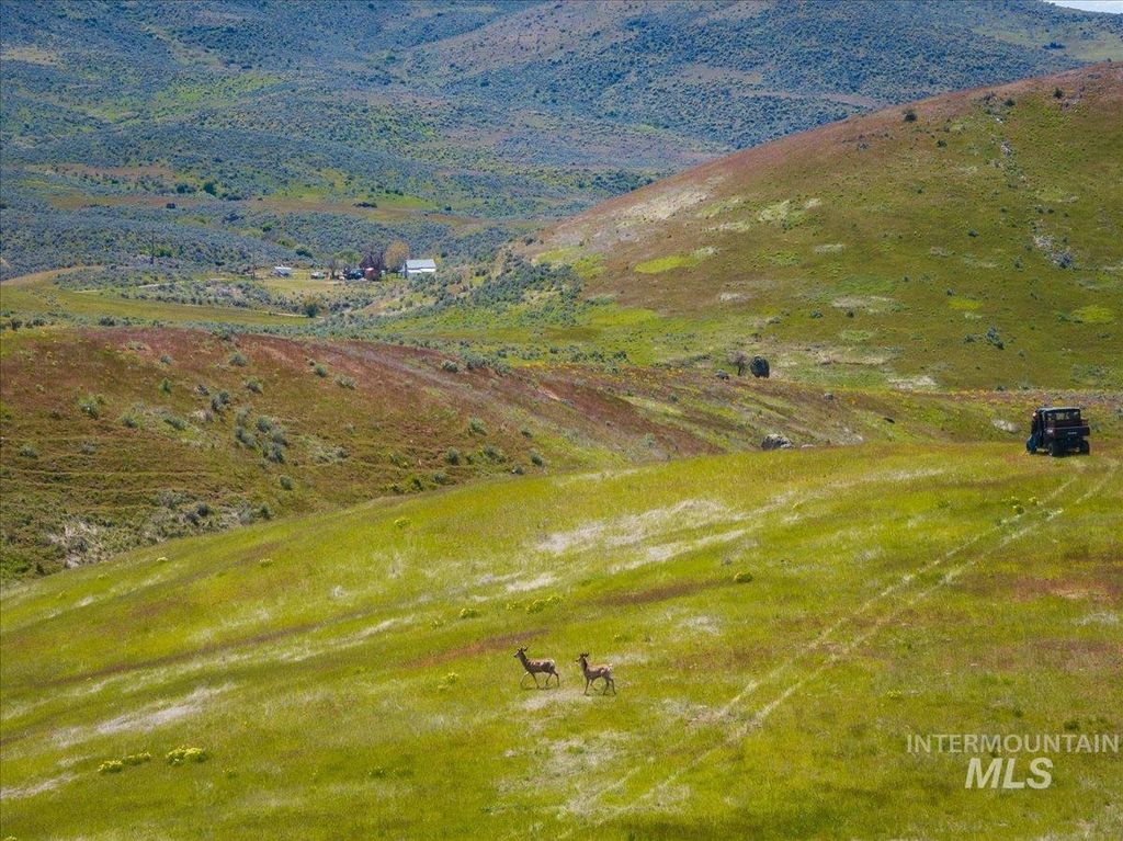 TBD 277 ac Timber Butte Rd, Sweet, ID 83670 photo 4