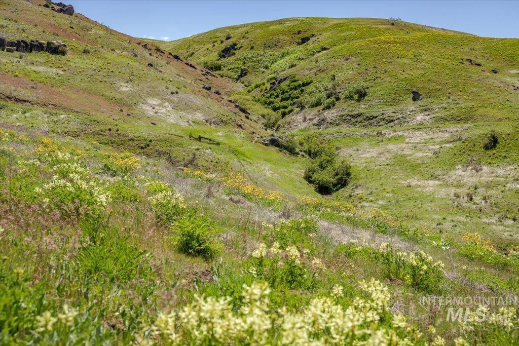TBD 277 ac Timber Butte Rd, Sweet, ID 83670 photo 7