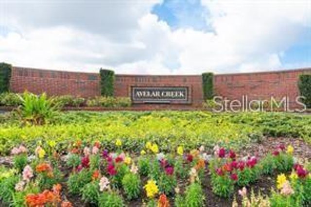 10133 CARAWAY SPICE AVENUE, Riverview, FL 33578