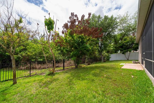 10133 CARAWAY SPICE AVENUE, Riverview, FL 33578