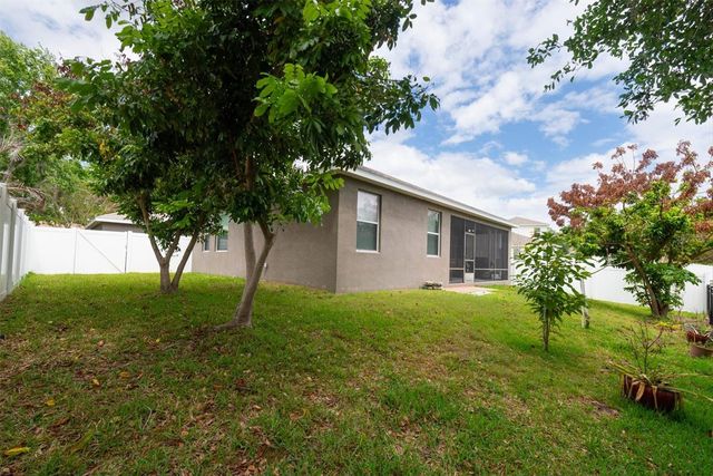 10133 CARAWAY SPICE AVENUE, Riverview, FL 33578