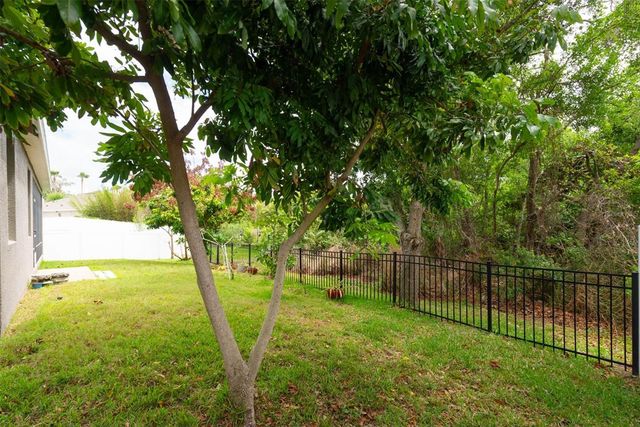 10133 CARAWAY SPICE AVENUE, Riverview, FL 33578