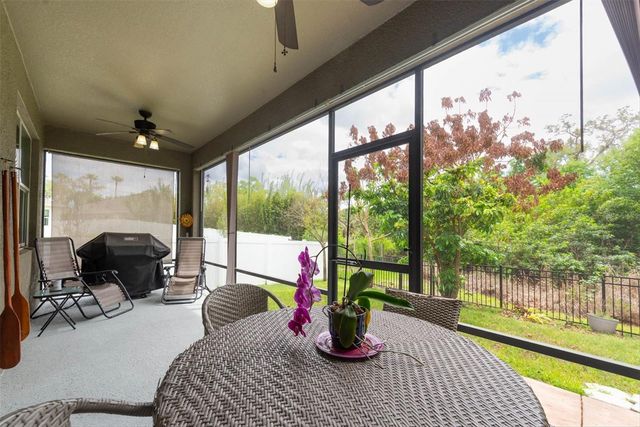 10133 CARAWAY SPICE AVENUE, Riverview, FL 33578