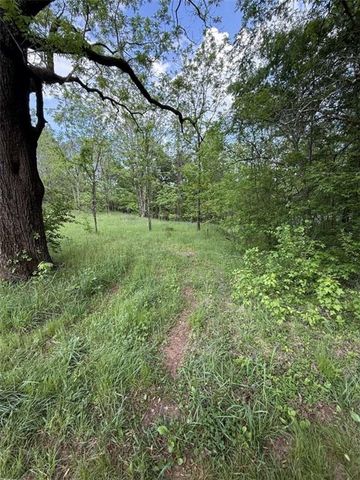 3370 Cowart Road, Dawsonville, GA 30534