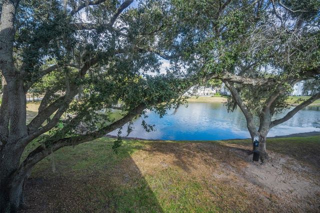 3261 HAVILAND COURT 203, Palm Harbor, FL 34684