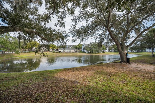 3261 HAVILAND COURT 203, Palm Harbor, FL 34684