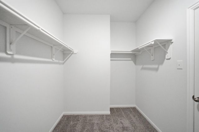 10767 Sora Drive, Willis, TX 77378