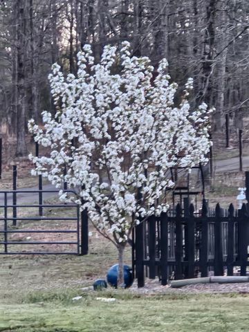 419 E Colonel Glenn, Little Rock, AR 72210