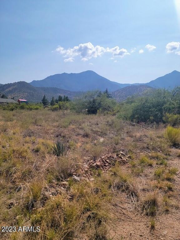 Image 3 of property listing at TBD S Hwy 92 -- -, Hereford, AZ 85615