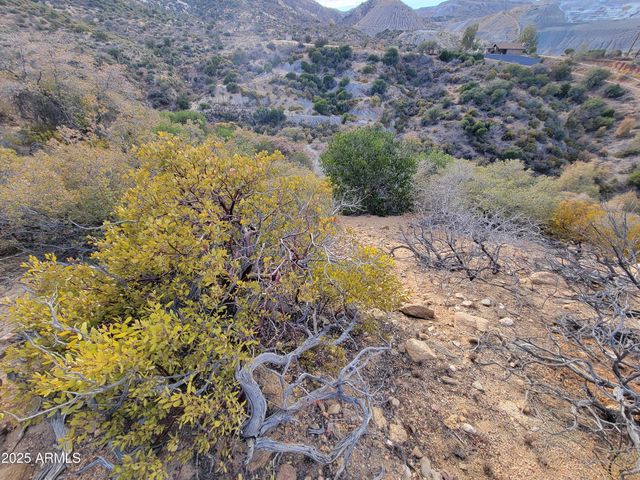 204-13-019 W Lot Mackey Camp Area Road -, Miami, AZ 85539