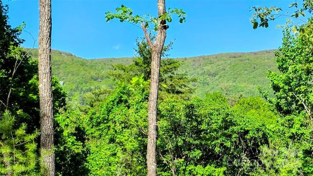 297 Easy Springs Road, Sapphire, NC 28774