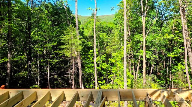 297 Easy Springs Road, Sapphire, NC 28774