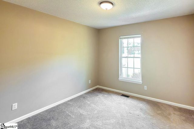 290 Dickson Road, Campobello, SC 29322