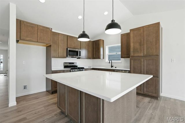 383 Butterfly Garden Lane, Wentzville, MO 63385