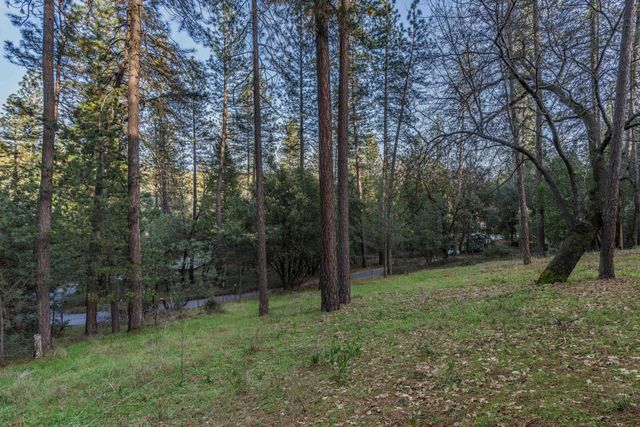 13900 Pine Park Loop, Pine Grove, CA 95665