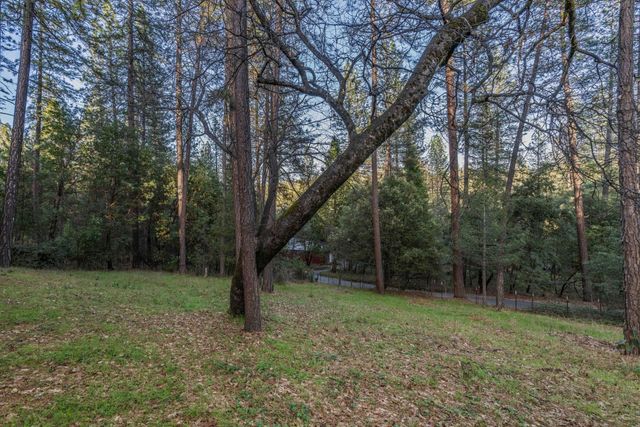 13900 Pine Park Loop, Pine Grove, CA 95665