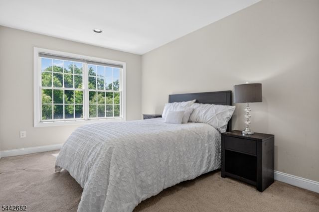 10 Camlet Ct, Roseland Boro, NJ 07068
