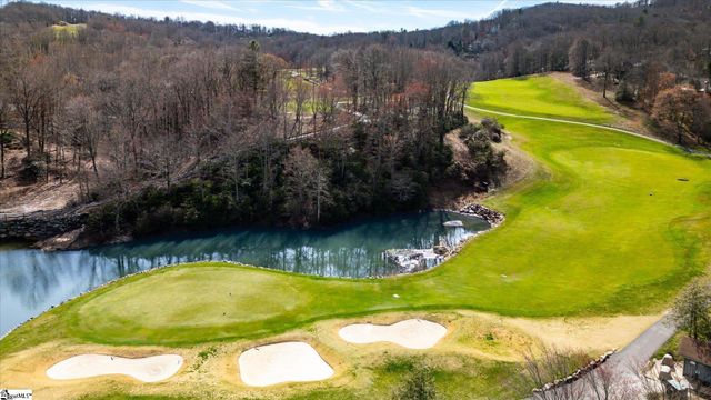 160 Shooting Star Lane, Landrum, SC 29356