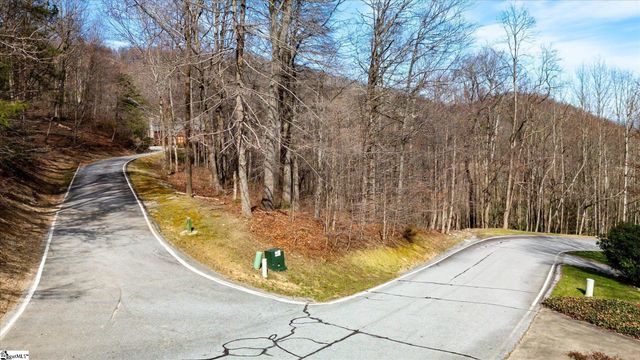 160 Shooting Star Lane, Landrum, SC 29356