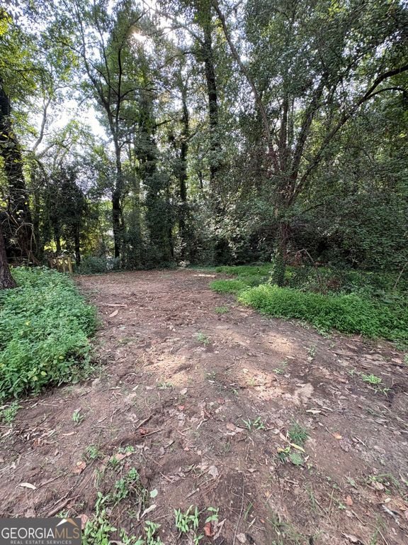 LOT 10 Adamson Road, Jonesboro, GA 30236 — photo 2
