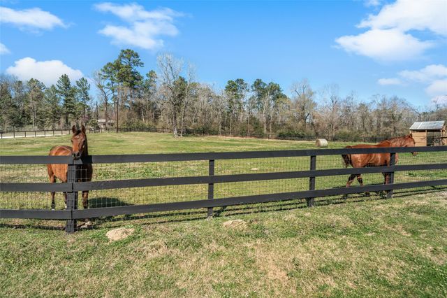 40 Stewart Road, New Waverly, TX 77358