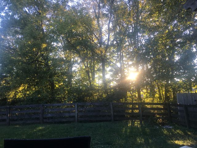 1038 Lexington Farms Dr, Spring Hill, TN 37174