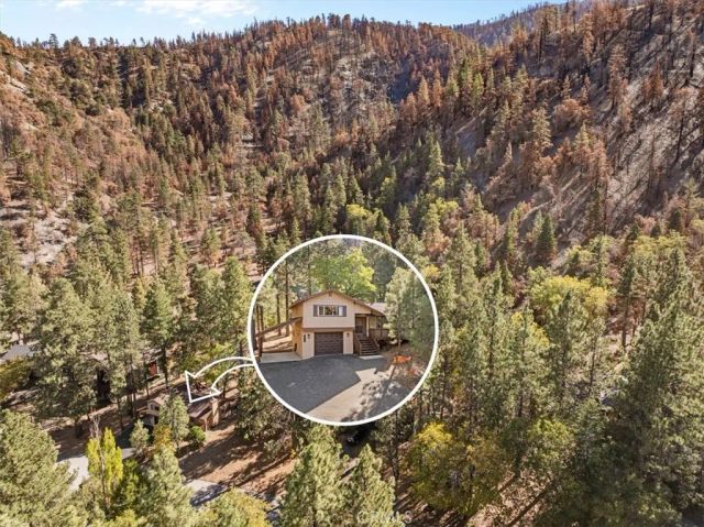 23132 Cardinal, Wrightwood, CA 92397