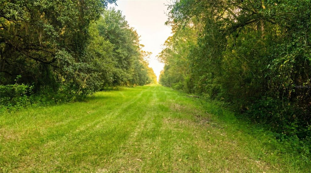 17875 NW 254TH STREET, Okeechobee, FL 34972