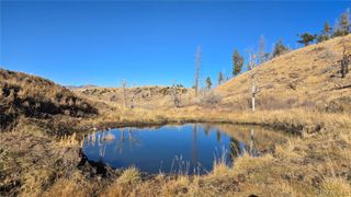 7741 Van Giesen Road, Fort Garland, CO 81133